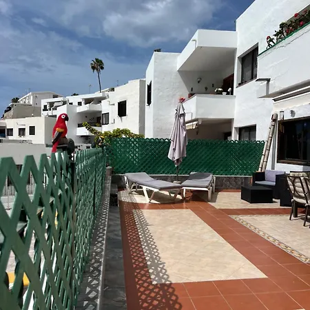 Lovely 2 With Big Terrace In Puerto Rico Apartment *