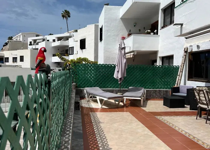 Lovely 2 With Big Terrace In Puerto Rico Apartment *